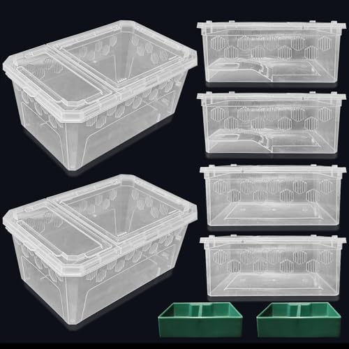 Reptile Feeding Box 6 PCS Snake Breeding Box Lizard Cricket Cage Habitat Hatching Container Transparent Portable Critter Keeper for Spider Scorpion Gecko Tortoise Treefrog