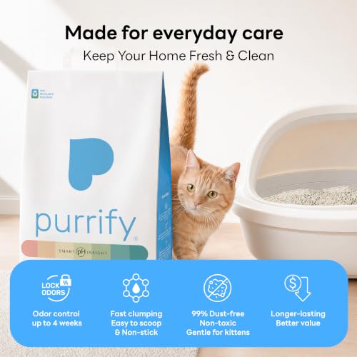 Plant Based Tofu Cat Litter with Cassava (10 lb* 3 pack)