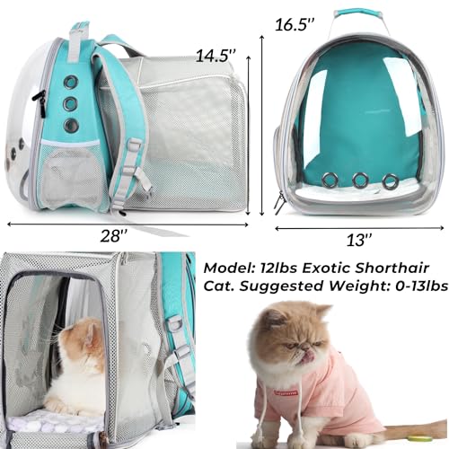 Expandable Bubble Cat Carrier Backpack (Square Back Expandable-Green)