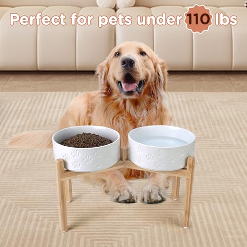 Elevated Dog Bowls Ceramic (8.3 in - 7.6 cups / Paw White)