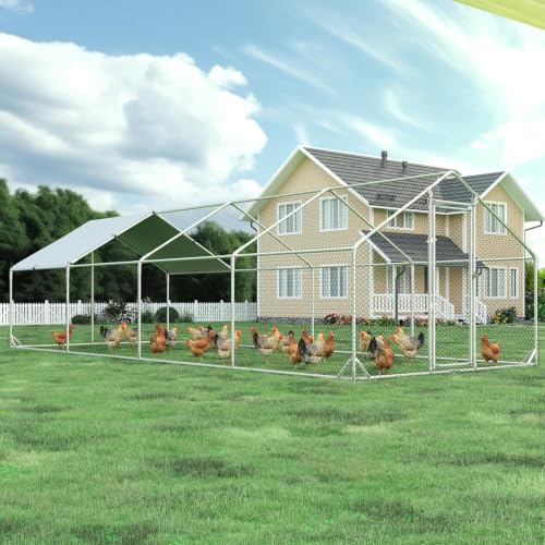 Metal Chicken Coop (298.8"L x 114.0"W x 76.8"H)