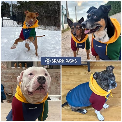 Dog Hoodie Buttery (Primary Color Block / Medium)