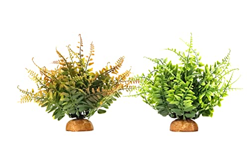 Green Boston Fern Reptile Plants (I-fake Green Boston Fern)