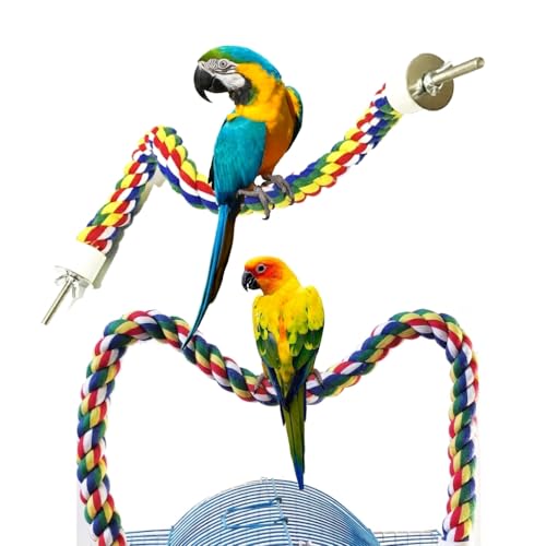 Bird Perch Bird Rope Perch & Rope Perch (polychrome / Medium)