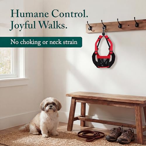 No Pull Dog Harness (Small / Red)