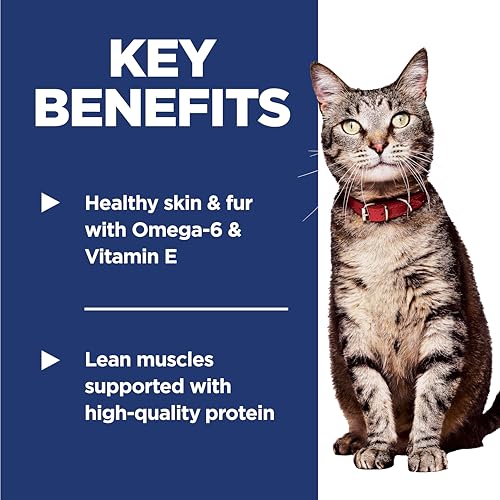 Adult 1 6 Dry Cat Food (3.5 Pound (Pack of 1))