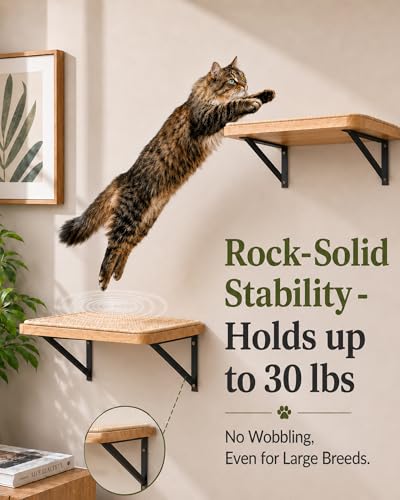 Cat Floating Wall Shelf with Scratching Mat