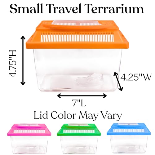 Mini Neon Plastic Reptile Carrier