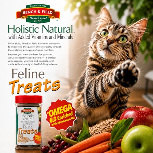 Holistic Natural Healthy Kitty Cat Treats (3 Ounce (Pack of 12))