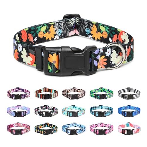 Adjustable Dog Collar (Extra Small / Floral Orange)