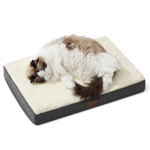 Small Dog Bed (24"L x 16"W x 3"Th / Grey)