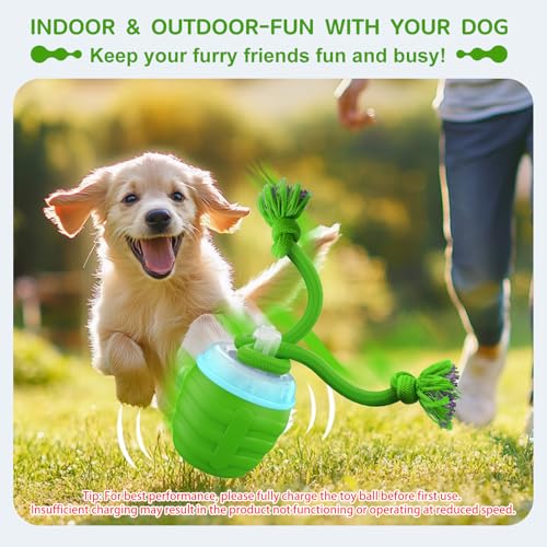 Interactive Dog Toy (Green / Small)