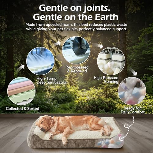 XL Orthopedic Dog Beds Large Size Dog (XL(42"L x 30"W x 8.5"Th) / Beige)