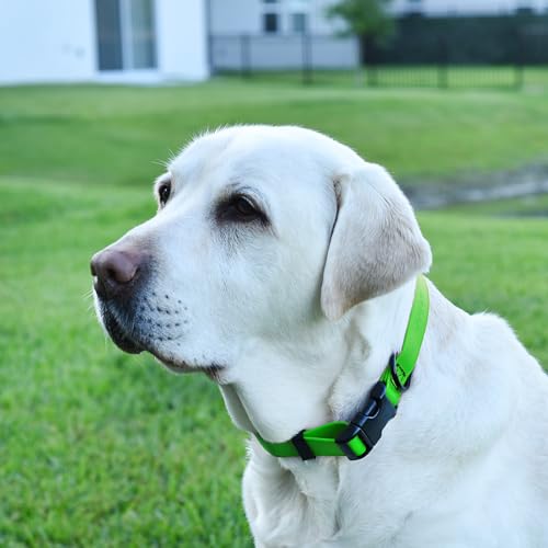 Biothane Waterproof Dog Collar with Quick Release Buckle Strong Coated Nylon Webbing with Odor (5/8"W by 10-14"L / Tropical Green)