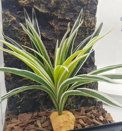 Reptile Plants Terrarium Decor (Fake Spider Plants)