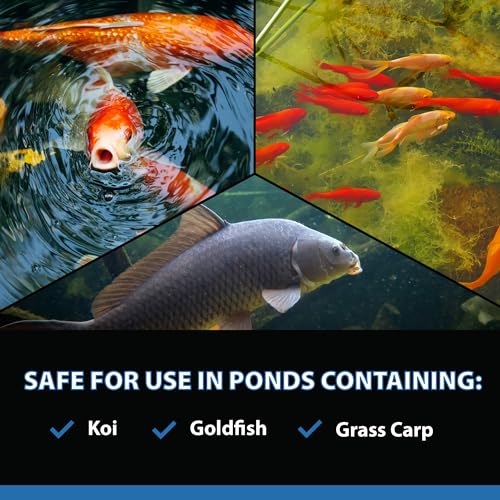 AlgaeOff String Algae Killer for Pond & Water Garden (25 Pounds)