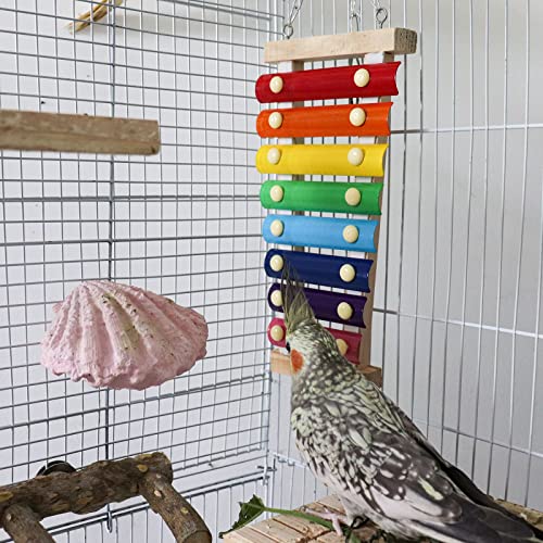 Colorful Bird Xylophone Toy (Hanging Mount / 8 Keys)