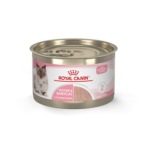 Feline Health Nutrition Mother & Babycat Queen Ultra Soft Mousse in Sauce Cat Food (5.1 Ounce (Pack of 24))