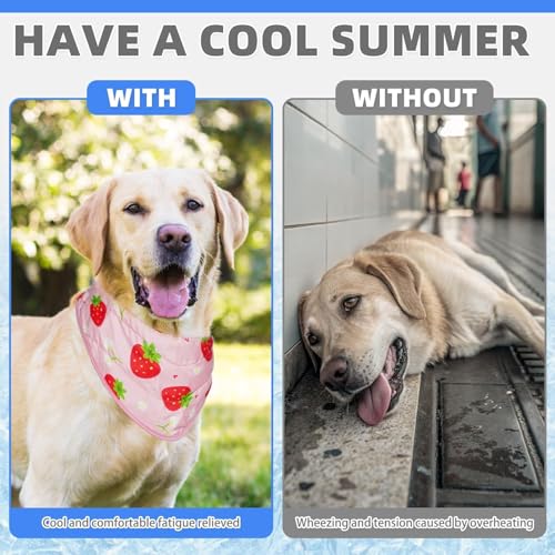 Dog Cooling Bandana (Strawberries+Duck / Neck Girth(12-20in))
