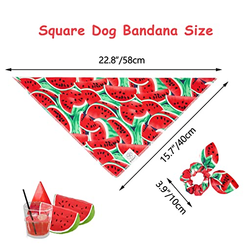Summer Dog Bandanas Girl Matching Dog Bandana and Scrunchie Small (watermelon / Small-set of 1)