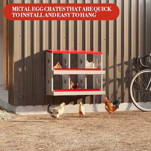 6 Hole Chicken Nesting Box with Roll Out Egg Tray