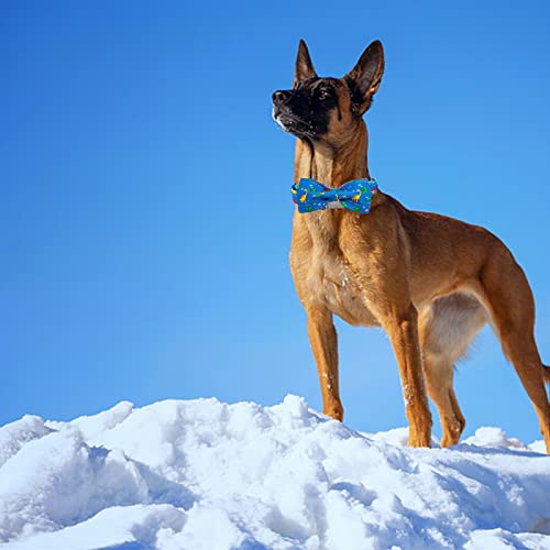 Dog Collar with Bow (Dinosaurs / X-Small (Pack of 1))