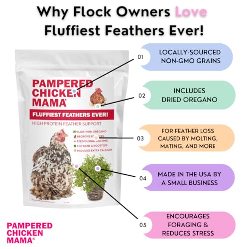 Backyard Chicken Molting Supplement (6 Pound (Pack of 1))