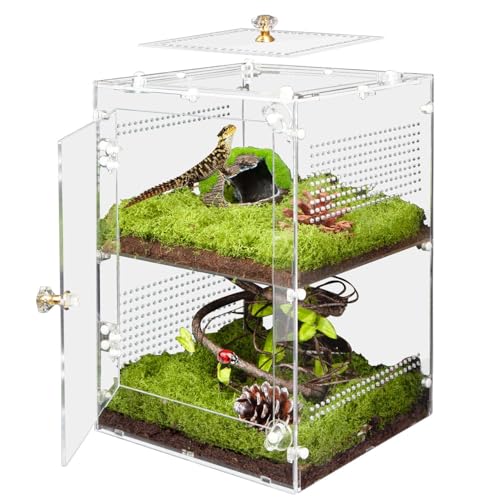 Large Jumping Spider Enclosure (Large-12''x8''x8'')