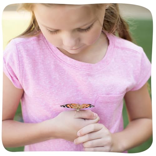 Butterfly Garden Kit with Live Caterpillars (As Seen On TV)