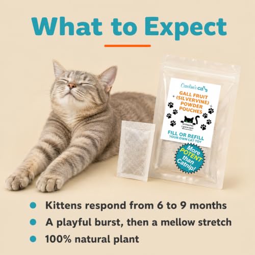Silvervine for Cats