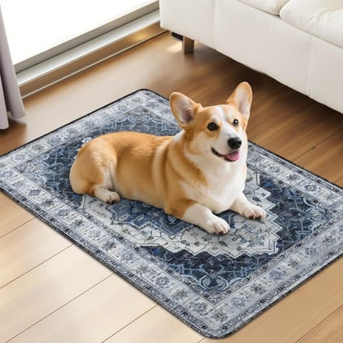 Washable Pee Pads for Dogs 2 Pack (24"x36"(2 Pack) / E Blue)