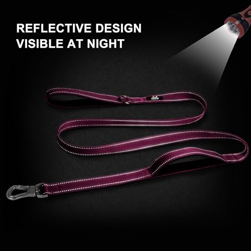 6FT 1IN Heavy Duty Dog Leash for Large Dogs with 2 Padded Handles (Rose / 1 in x 6 ft)