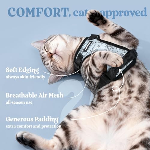Cat Harness and Leash Set (S / Doodle Gray)