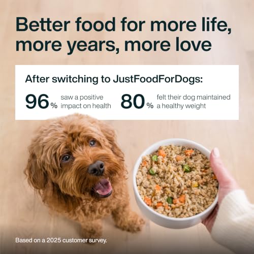 Fresh Dog Food Topper Variety Pack (12.5 Ounce (Pack of 4))