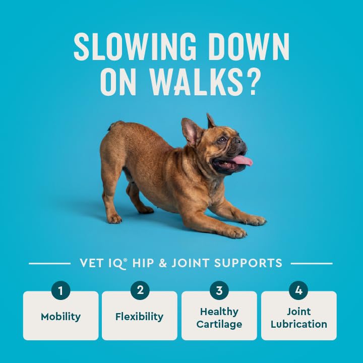 Glucosamine Hip & Joint Chews for Dogs (180 Count)