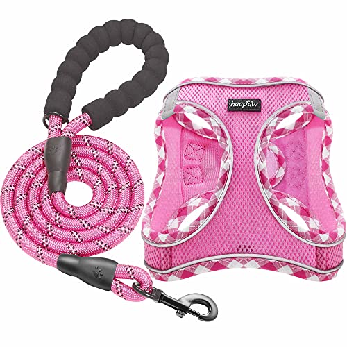 Dog Harness with Leash Set (L / Pink)
