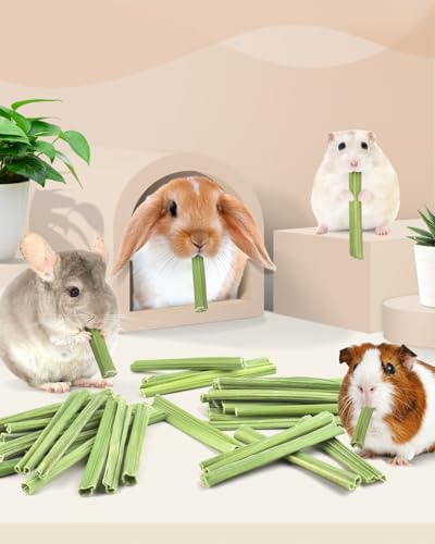50PCS Rabbit Chew Sticks (50 PCS)