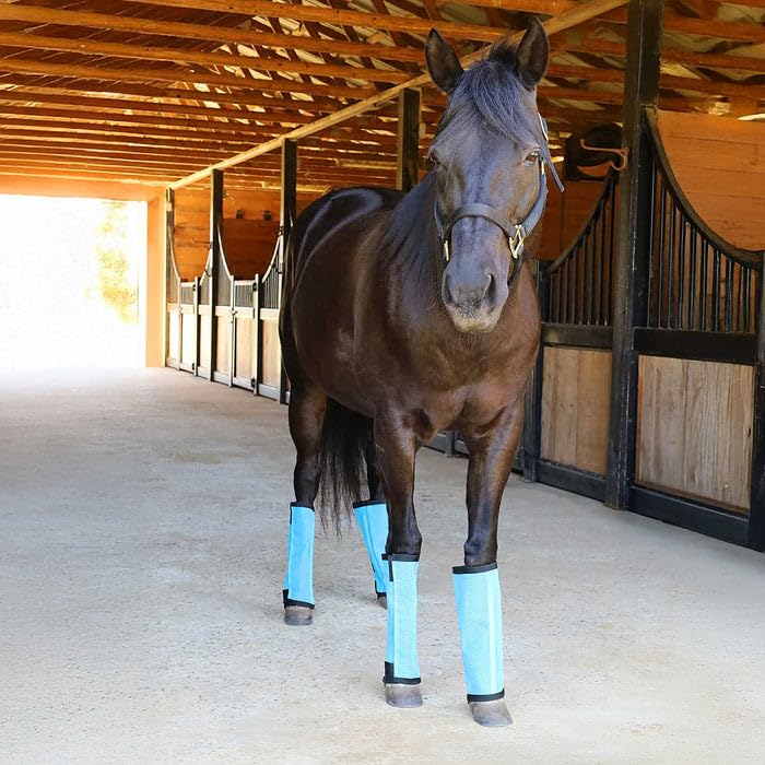 Romper Stomper Fly Boots for Horses (Light Blue / Small)