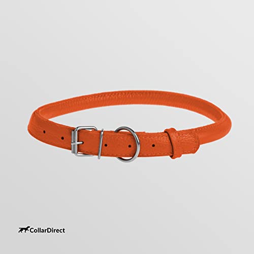 Tangle Free Rolled Leather Dog Collar (Orange / XL)