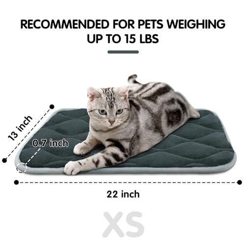 Dog Bed Mat Crate Pad (22.0"L x 13.0"W x 0.7"Th / Grey Mat)
