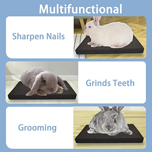 Rabbit Grinding Claw Pads Natural Bunny Scratch Foot Mat 2 Pack (Black 2x Large)