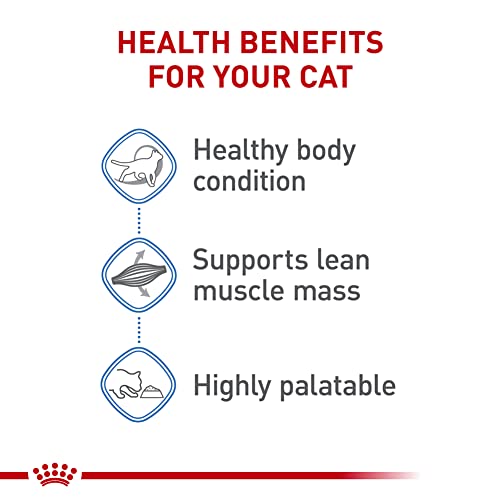Feline Care Nutrition Weight Care Adult Loaf in Sauce Cat Food (3 Ounce (Pack of 24) / Loaf in Sauce)