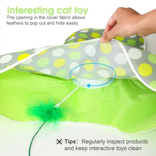 Interactive Cat Toys for Indoor Cats & Kittens (Green)