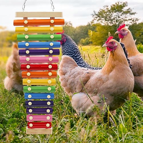 Large Colorful Chicken Xylophone Toy