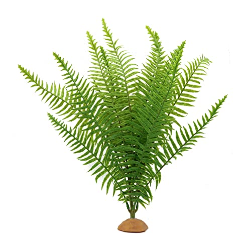 Fake Fern Plants