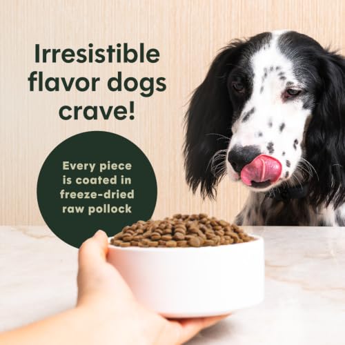 Original Dry Dog Food (22.5 Pound (Pack of 1))