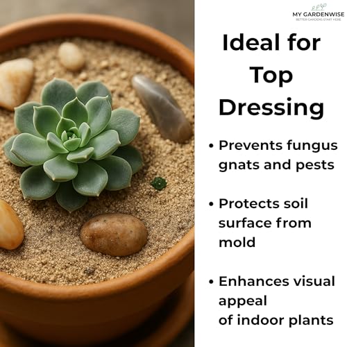 Fine Sand for Plants (Horticultural Fine Sand / 3 qt)