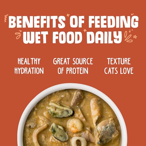 Classic Cat Food (3 Ounce (Pack of 24))