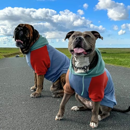 Dog Hoodie Buttery (Alpine / Large)