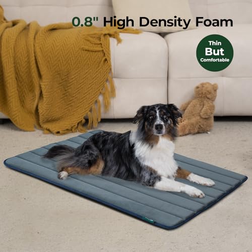 Dog Crate Pad (42.0"L x 28.0"W x 0.8"Th / Dusty Blue, 2 Packs)